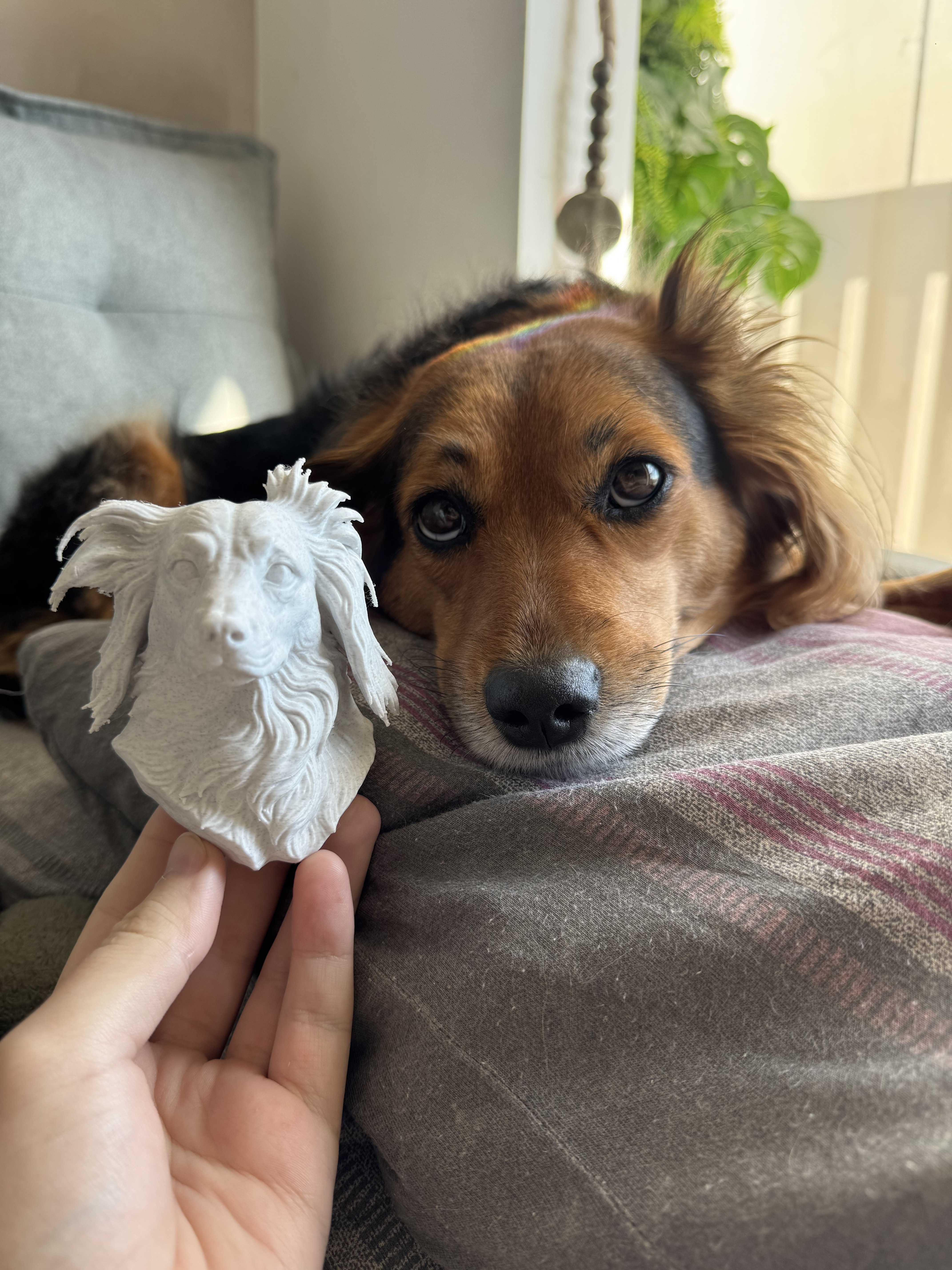 Pet real ao lado da escultura 3D personalizada feita a partir das fotos dele